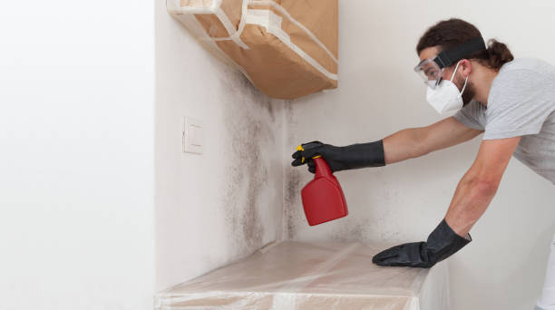 Professional Basement Mold Remediation technician working in Sperryville, VA