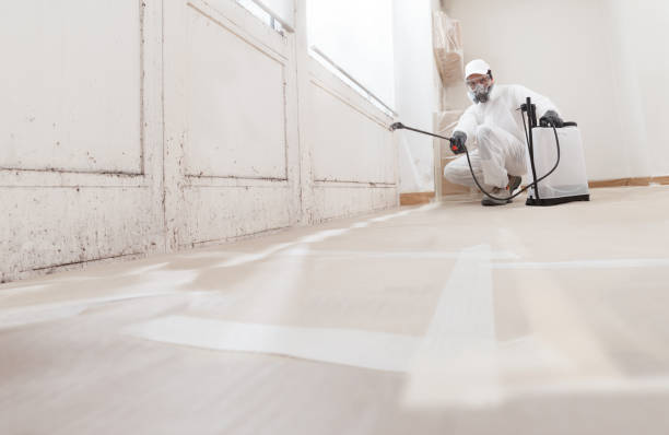 24/7 Emergency Basement Mold Remediation experts in Sperryville, VA